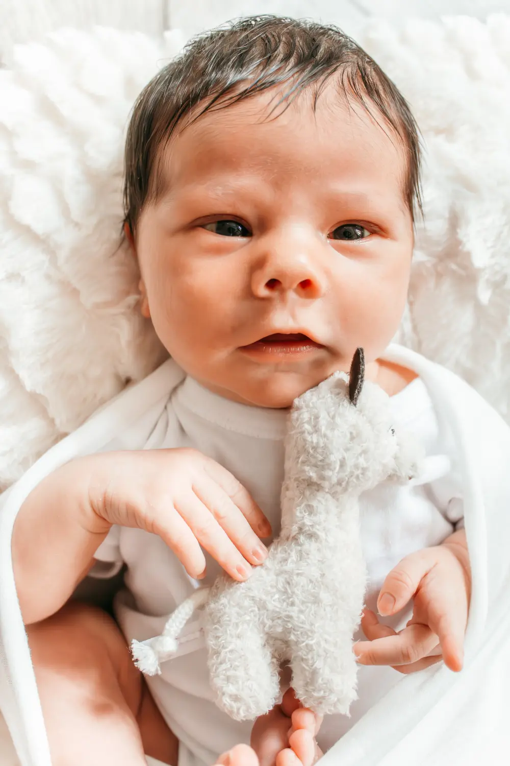 Neugeborenenfotografie von KaB Babyfotgrafie